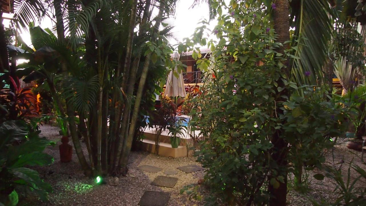 Samara Palm Lodge Exterior foto